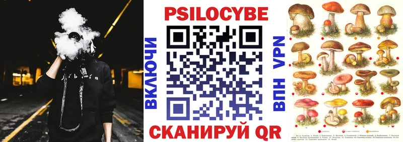Псилоцибиновые грибы MAGIC MUSHROOMS  Купить где  Жуков 